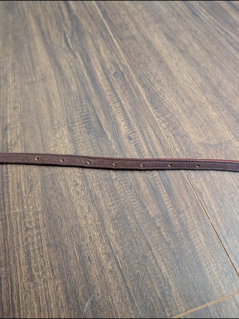 KIESELSTEIN-CORD Early VTG Burgundy Lizard Sterling Silver 4pc Western Belt